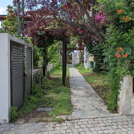 Melina Apartments Nikiti  Luaran gambar